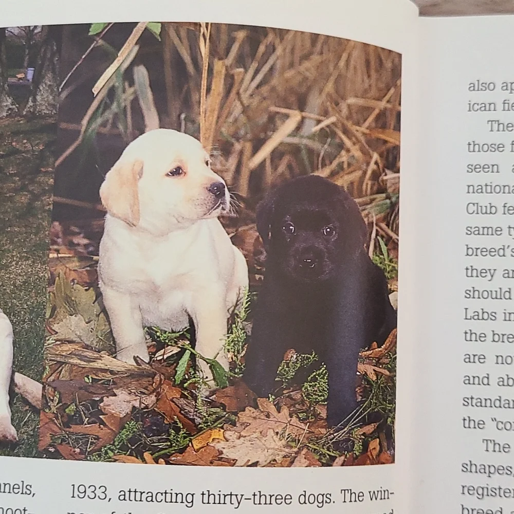 Labrador Retriever book from Dog Fancy magazine